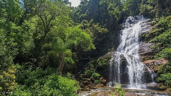 Private chartered tour in Rio de Janeiro: Urca Mountain, Sugarloaf Mountain & Tijuca National Park