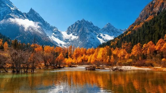 Chengdu ida y vuelta: Dujiangyan + Valle de Bipeng [Tour privado personalizado en múltiples idiomas como chino, inglés, ruso, francés, español, etc.] #