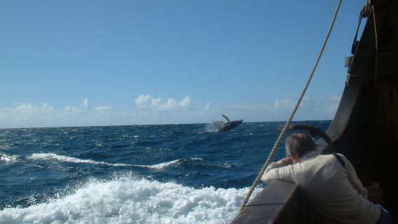 마데이라: 산타 마리아 데 콜롬보(Santa Maria de Colombo) 기함 투어