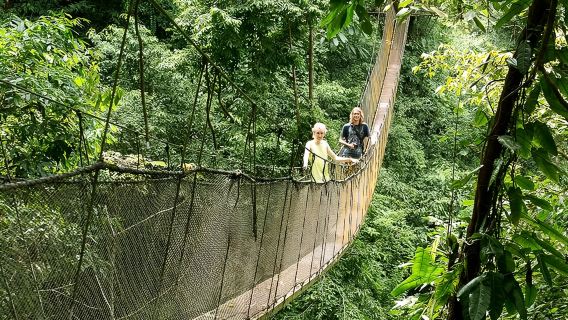 Rainmaker Park Hängebrücken- und Wasserfalltour mit Jade Tours