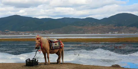 印尼民丹島Trip Moments【一對一約拍跟拍婚拍街拍抓拍航拍攝影攝像/多語言翻譯】