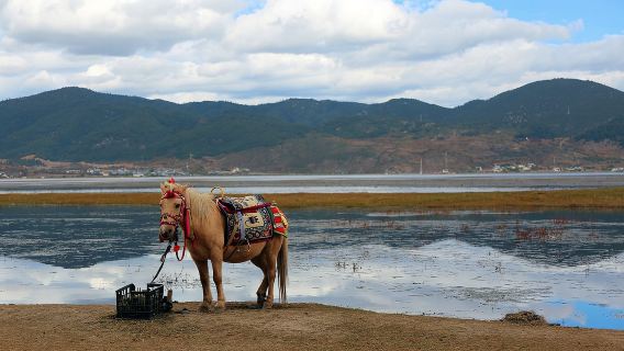 印度尼西亞民丹島Trip Moments【司機兼導遊兼Trip Moments攝影師+婚紗照空拍微電影+化妝服裝+行程定制+不限人數】
