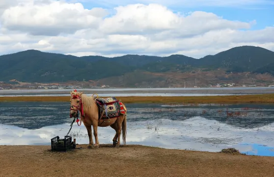 印尼民丹島Trip Moments【一對一約拍跟拍婚拍街拍抓拍航拍攝影攝像/多語言翻譯】