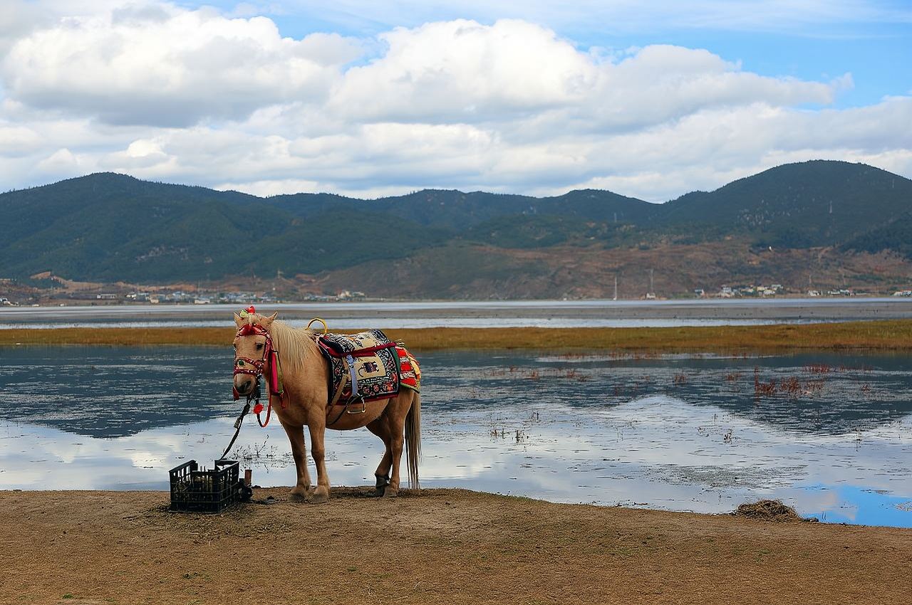 Trip Moments a Bintan, Indonesia[Autista, guida e fotografo per Trip Moments + servizio di riprese aeree per foto matrimoniali e cortometraggi + trucco e abbigliamento + personalizzazione itinerario + numero illimitato di partecipanti]