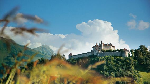 Jungfraujoch + Interlaken one-day tour[Medieval Experience|Sino-British private charter|Itinerary Adjustment