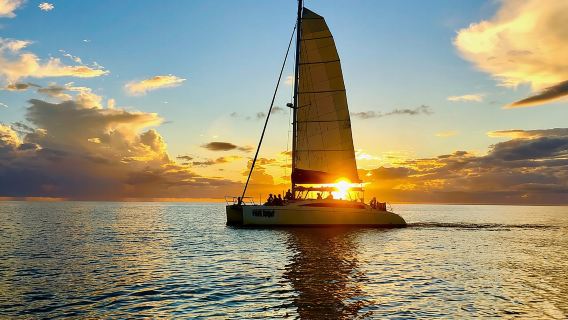 Escursione turistica e crociera in catamarano al tramonto