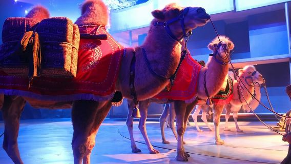 Xi'an Silk Road: Legend of Camel Bell Show Ticket with Transfer