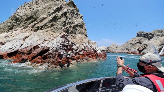 ¡PARACAS! Islas Ballestas + Reserva Nacional de Paracas + Candelabro y mucho más