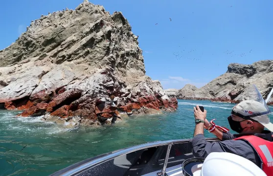 帕拉卡斯！巴列斯塔斯群島 + 帕拉卡斯國家保護區 + 燭台地畫及更多景點