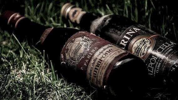 Food and Wine Tasting in Valpolicella