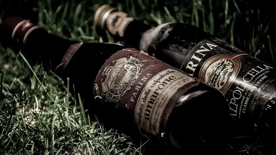 Food and Wine Tasting in Valpolicella