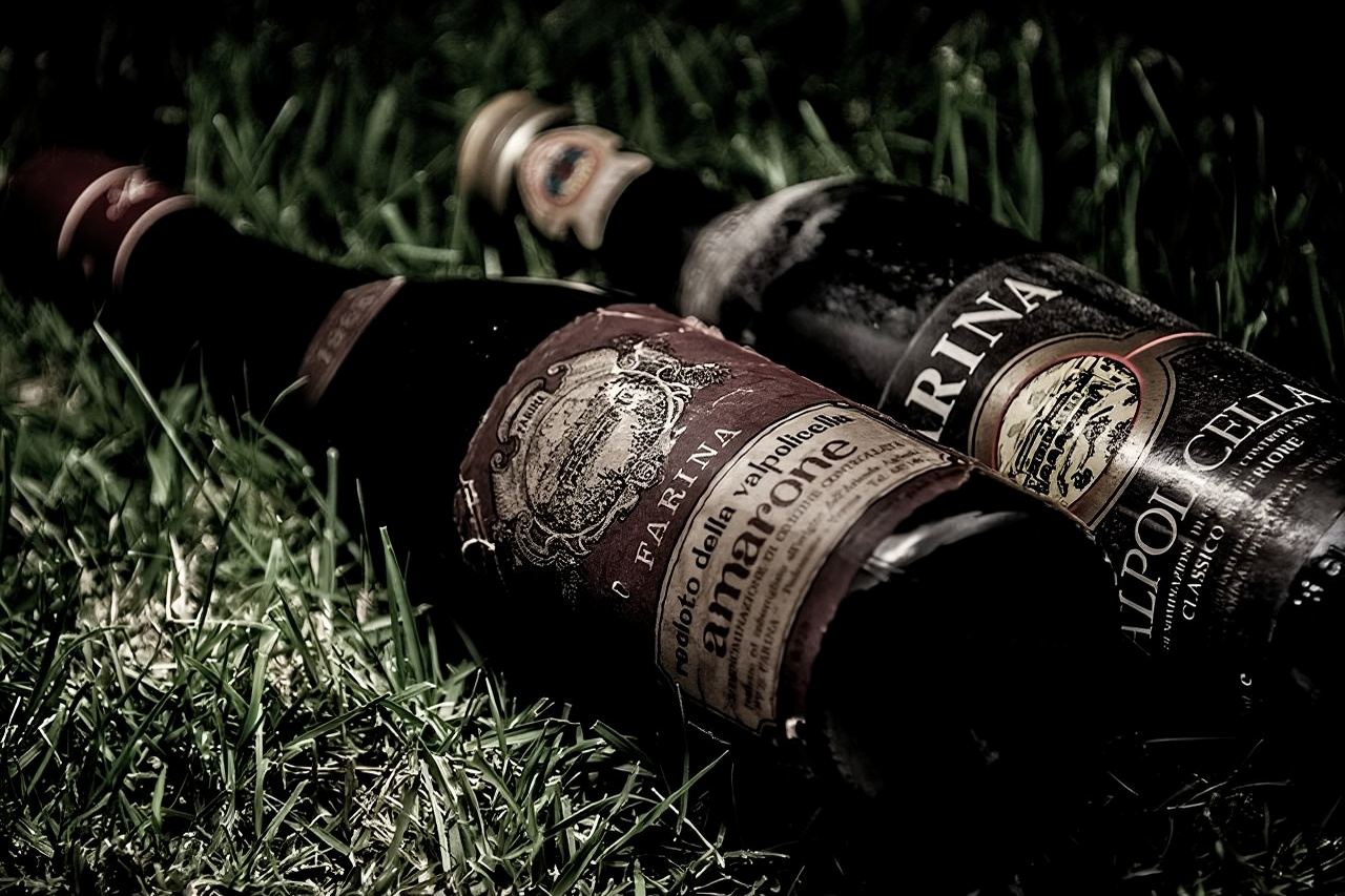 Food and Wine Tasting in Valpolicella