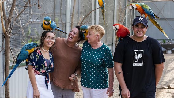 Entrance tickets for Maleny Botanic Gardens and Bird World