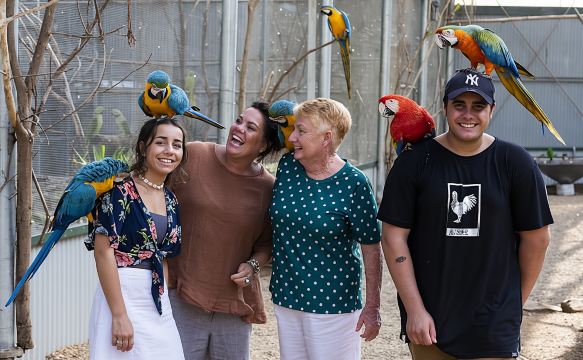 Entrance tickets for Maleny Botanic Gardens and Bird World