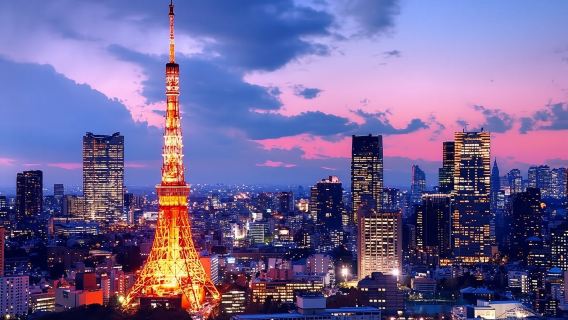 Tokyo Private Tour by Car with English speaking driver