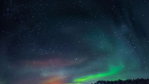 Norwegen Tagesausflug mit Reisebus zur Nordlichtjagd [3 Stunden|Englischsprachige Gruppe · Hin- und Rückfahrt nach Kirkenes