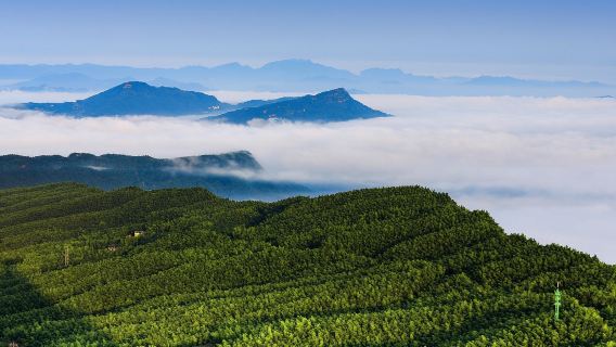 2人起獨立包團蜀南竹海李莊古鎮一日遊宜賓瀘州上門接送
