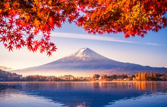 東京富士山一日遊，可選9人精品小團接送，河口湖，天梯小鎮
