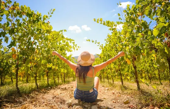 佛羅倫斯半日基安蒂葡萄園之旅連品酒體驗