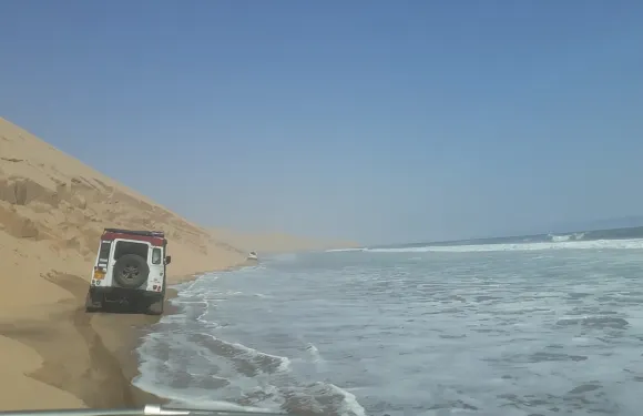 風景優美的三明治港導覽