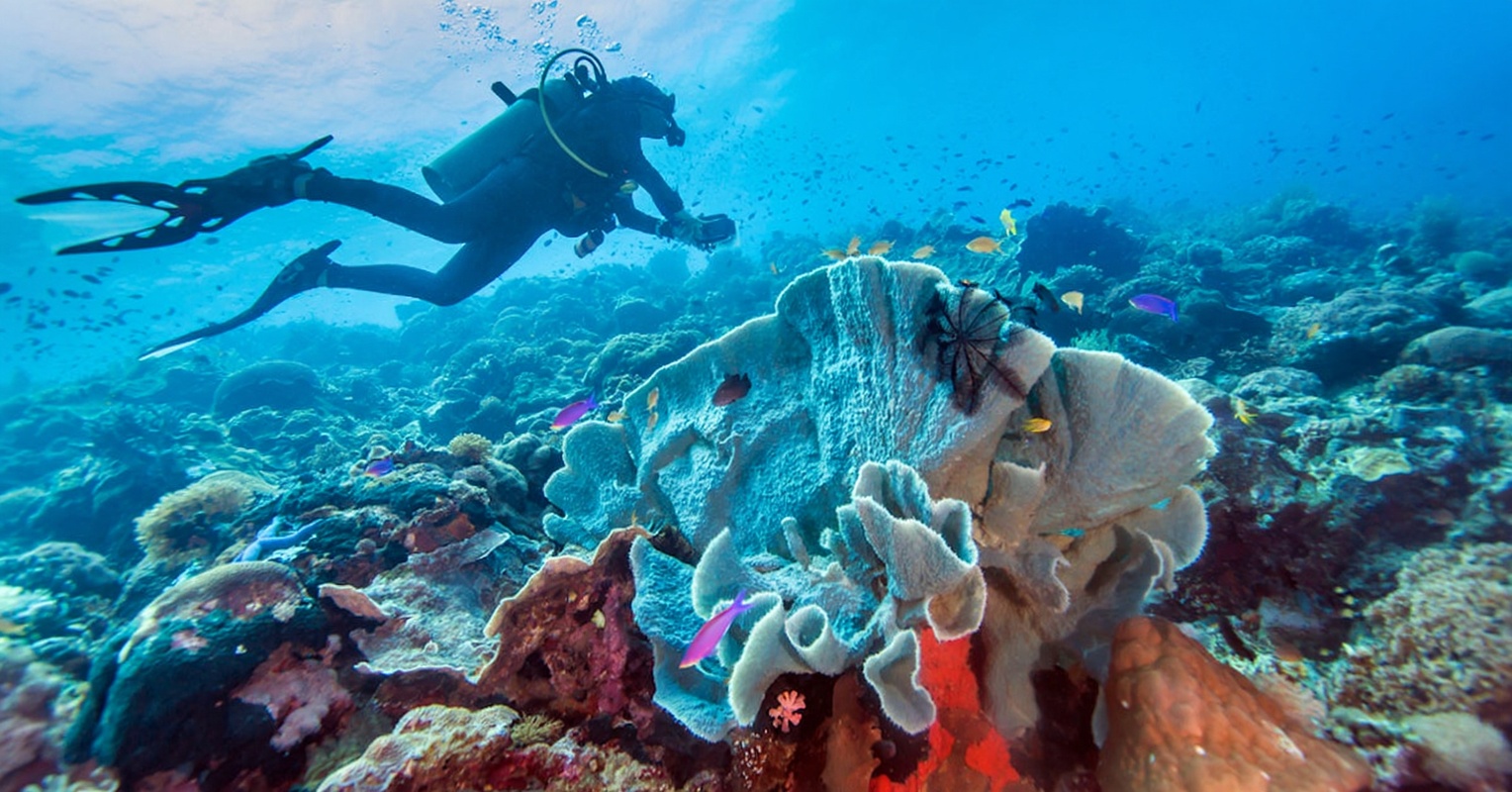 Scuba Diving Adventure Boracay Island