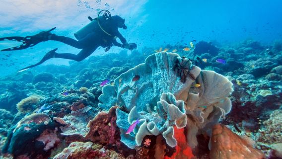 การผจญภัยดำน้ำลึกที่เกาะโบราเคย์