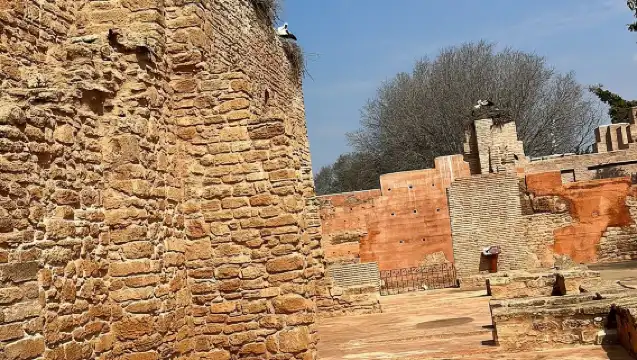 從卡薩布蘭卡到拉巴特的私人一日遊