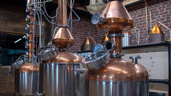 Hooting Owl Distillery York - Brennereibesichtigung & Gin-Verkostung