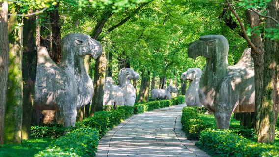 Nanjing Foreign Language Private Guided Tour (Small Group)