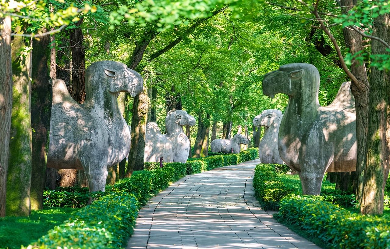 Lawatan berpandu secara langsung dalam bahasa asing di Nanjing (kumpulan kecil eksklusif)