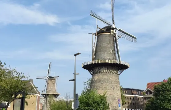 包車直達斯希丹：琴酒博物館、超高風車、市立博物館、聖揚教堂