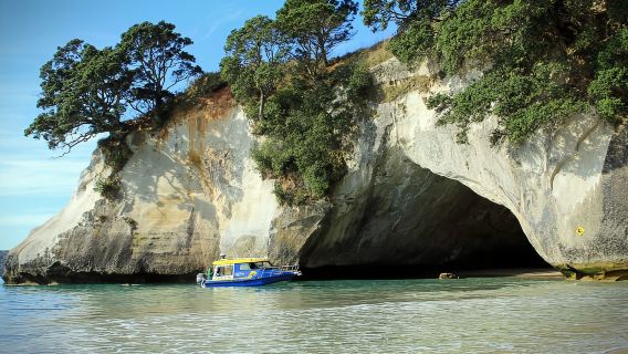 CoromandelTours