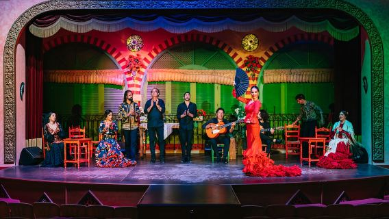 Seville: Flamenco tại El Palacio Andaluz với bữa tối tùy chọn