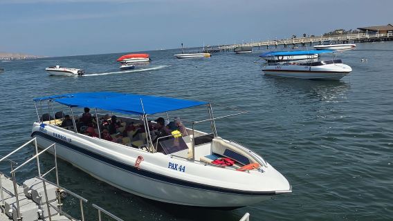 Ballestas e Tambo Colorado dal TERMINAL DELLE NAVI DA CROCIERA PISCO