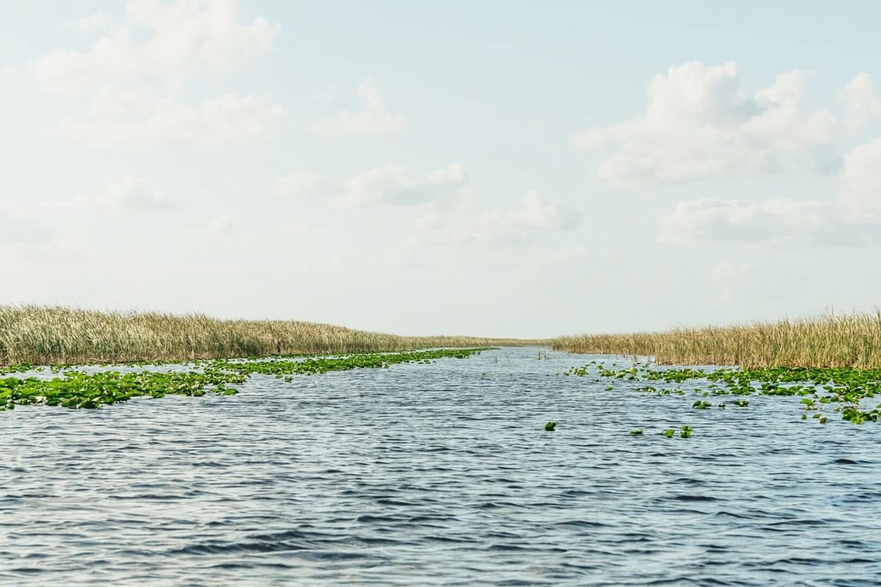 From Miami: Everglades Airboat, Wildlife Show & Bus Transfer