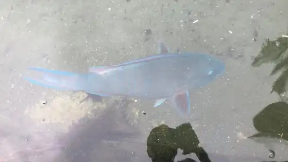 Durban Point Waterfront: ล่องเรือคลองสุดหรู