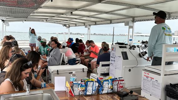 Clearwater Beach: Crucero para ver delfines y bancos de arena en la isla