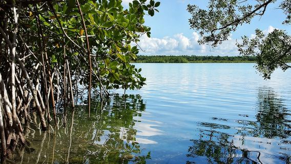 Costa Maya: Kajak-Abenteuer in der siebenfarbigen Lagune von Bacalar