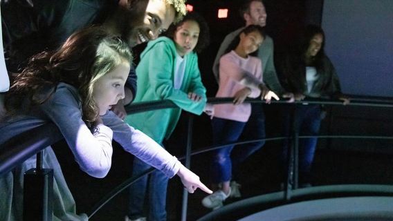 Chicago: Immersive Flyover Journey Ticket