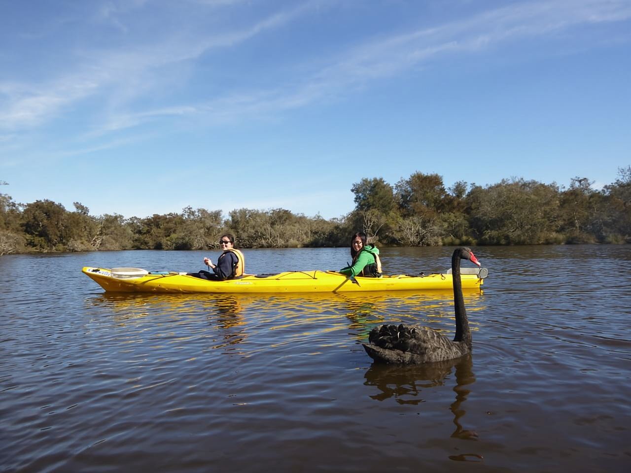 Escursione di mezza giornata in kayak tra la fauna selvatica del fiume Canning
