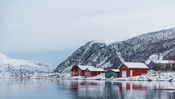 Tromsø: Winter Fjord Road Trip