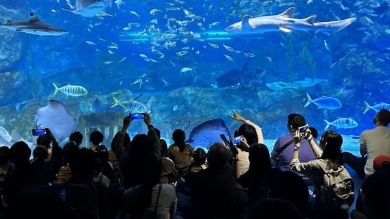 Acuario COEX de Seúl, Corea del Sur
