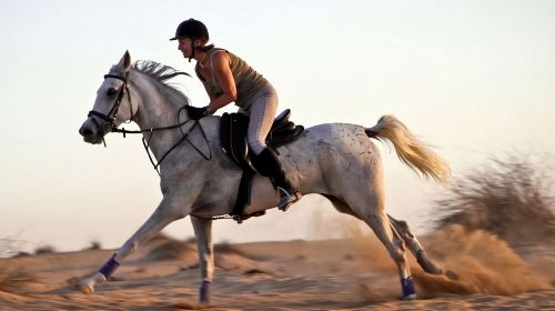 Abu Dhabi Horse Riding Experience 8