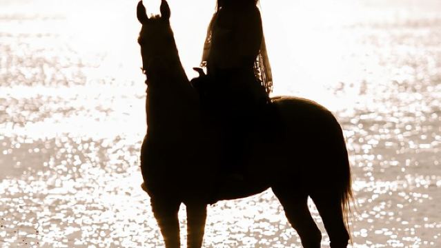 Santorini: Horseback Riding on the Black Sandy Eros Beach