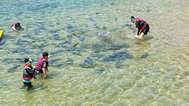 陵水分界洲島體驗潛水PADI 基礎自由潛水員2小時【PADI魟魚專業浮潛體驗課 教練1v4 送拍攝和證書 含上島船票】