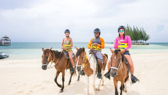 Cưỡi Ngựa tại Roatan, Zipline Khỉ & Lười và Lặn Ống Thở