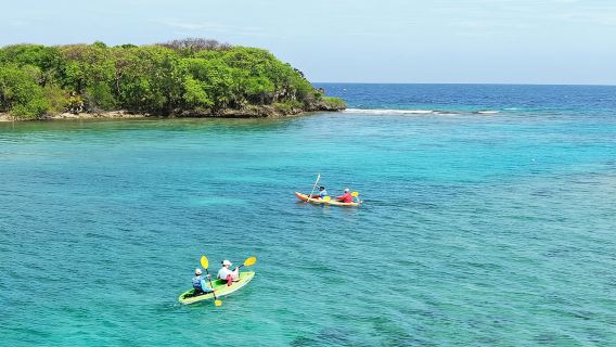 Roatan Shore Excursion: Kayak Harbor Adventure and Reef Snorkel