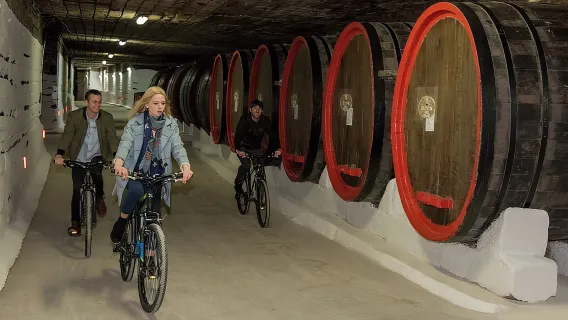 Recorrer en bici una bodega del Libro Guinness