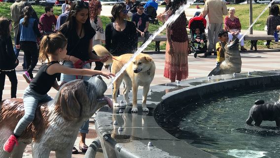 Mostrami la città! Un tour a piedi di Toronto per piccoli gruppi
