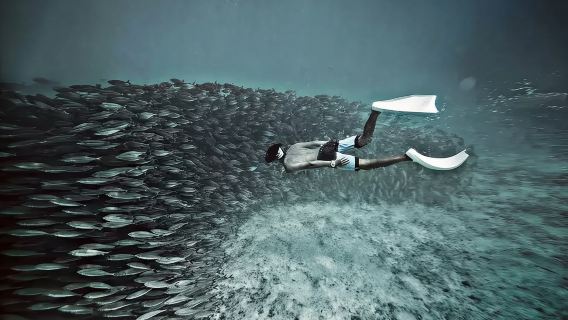 Philippines Cebu Mobo Sardine Storm diving+ Badian Canyon + Kawarthan Falls one-day tour